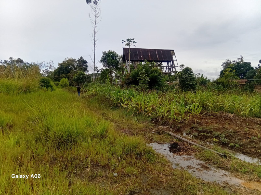 Mantan Bupati Taput Dituding Kuasa Tanah Masyarakat  Adat Di Bonapasogit