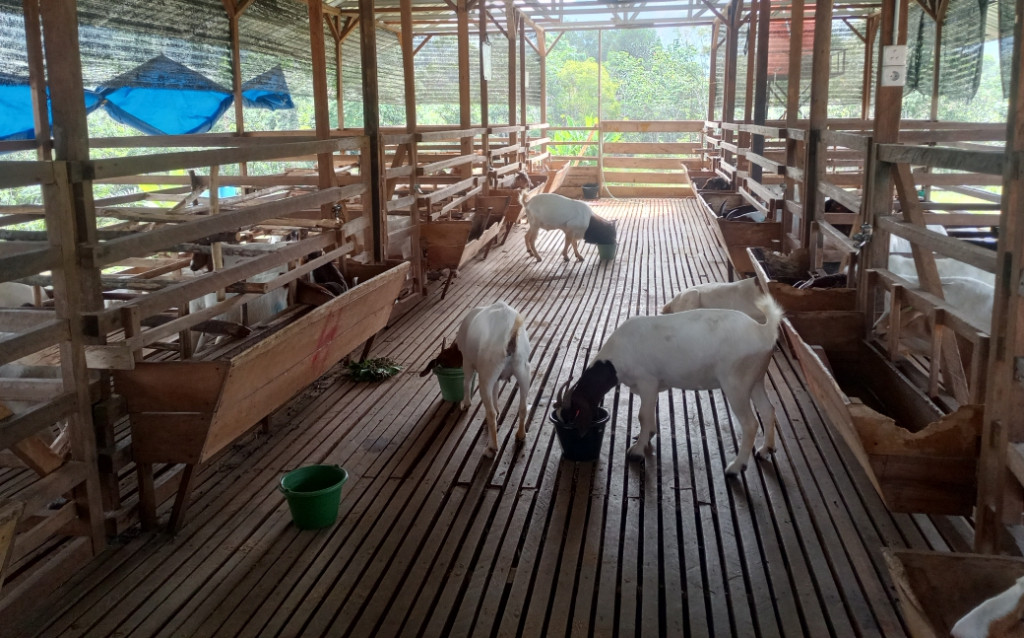 Martabe Social Enterprise, Membangun Ekonomi Batang Toru Pascatambang