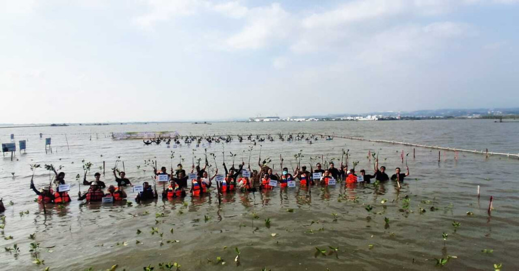 PAMA Group Tanam 2.000 Mangrove Bersama Media