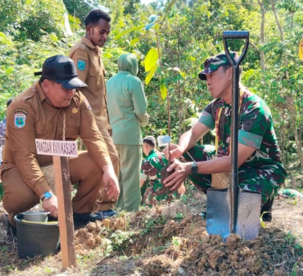 Pangdam XVIII/Kasuari Tanam Pohon Pala Kenangan di Fakfak, Dorong Inovasi Hilir untuk Nilai Tambah Ekonomi