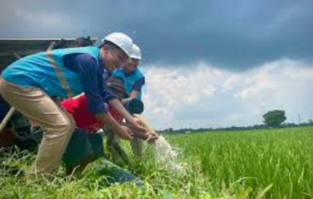 PLN Perluas Electrifying Agriculture, Petani dan Peternak Sulselrabar Nikmati Efisiensi Biaya