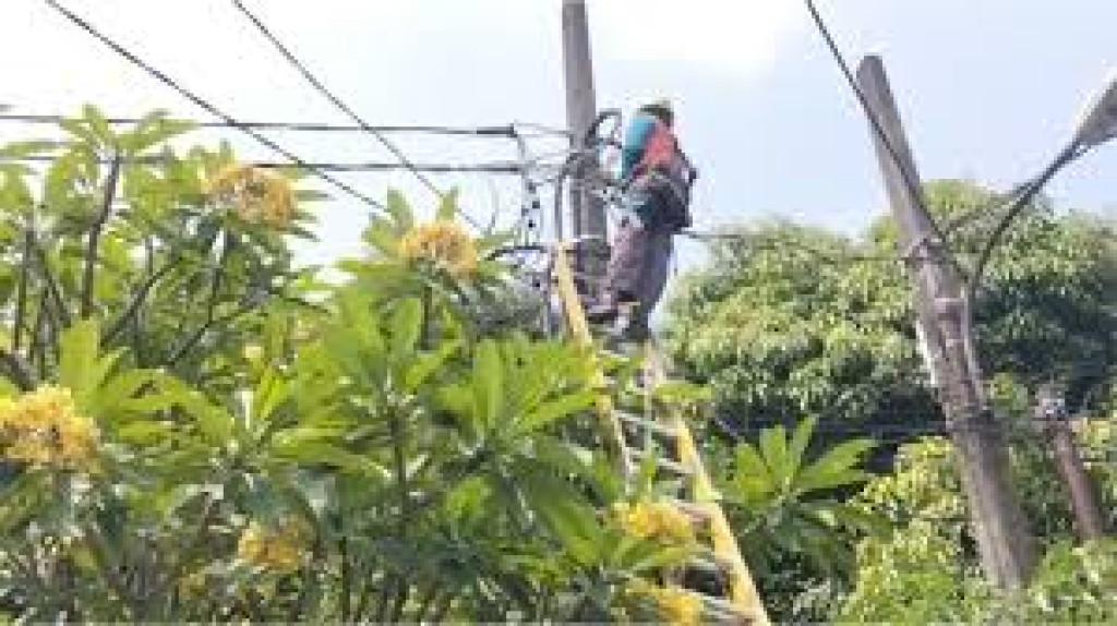 PLN UP3 Bekasi Perkuat Keandalan Listrik melalui Pemeliharaan Jaringan Secara Rutin