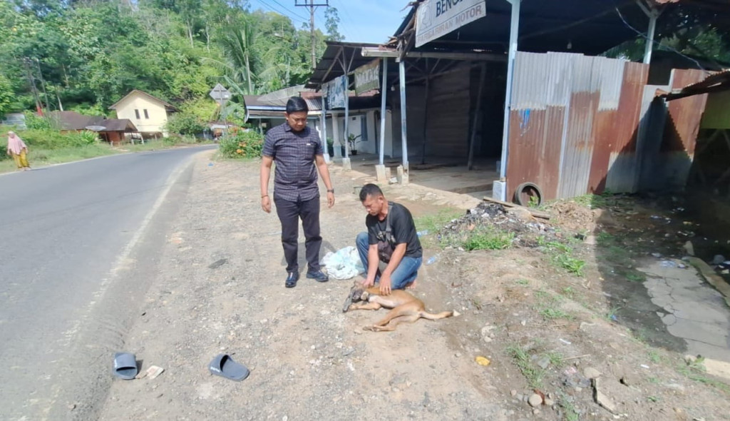 Polsek Batangtoru Bergerak Cepat Amankan Anjing Menggigit Warga, Seorang Polisi Ikut Jadi Korban