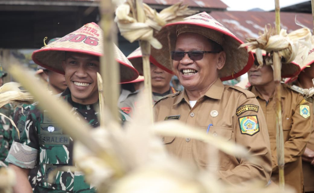 Yon TP 906/Sanalenggam Panen Perdana Jagung di Pakpak Bharat