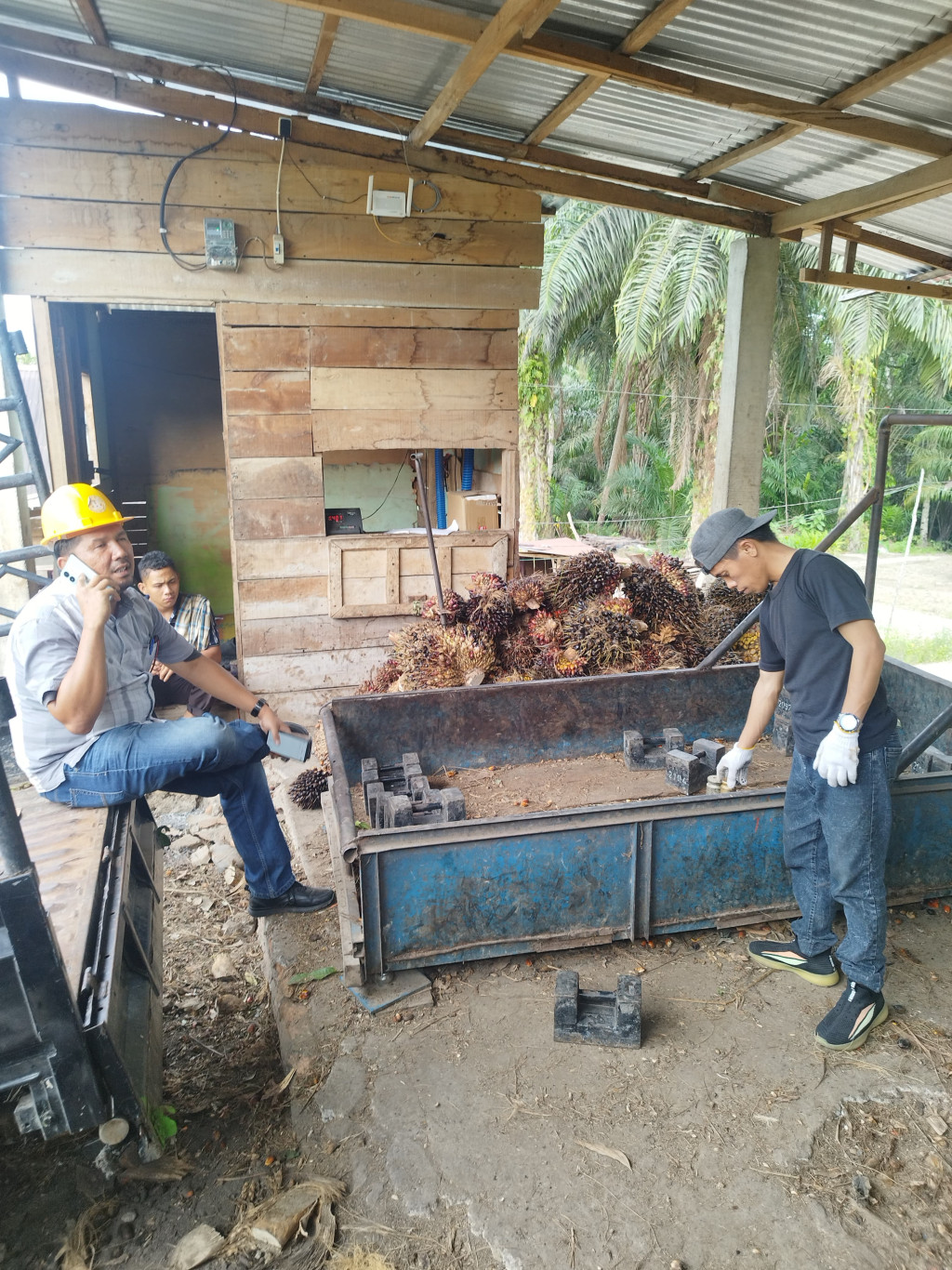 Tim Terpadu Pengawasan Perkebuna Paluta. Tera ulang Ram Timbagan Sawit.