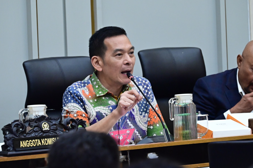 Daniel Johan Apresiasi Aksi Jerhemy Nemo Tebang Sawit Ilegal demi Pulihkan Hutan Lindung Aceh