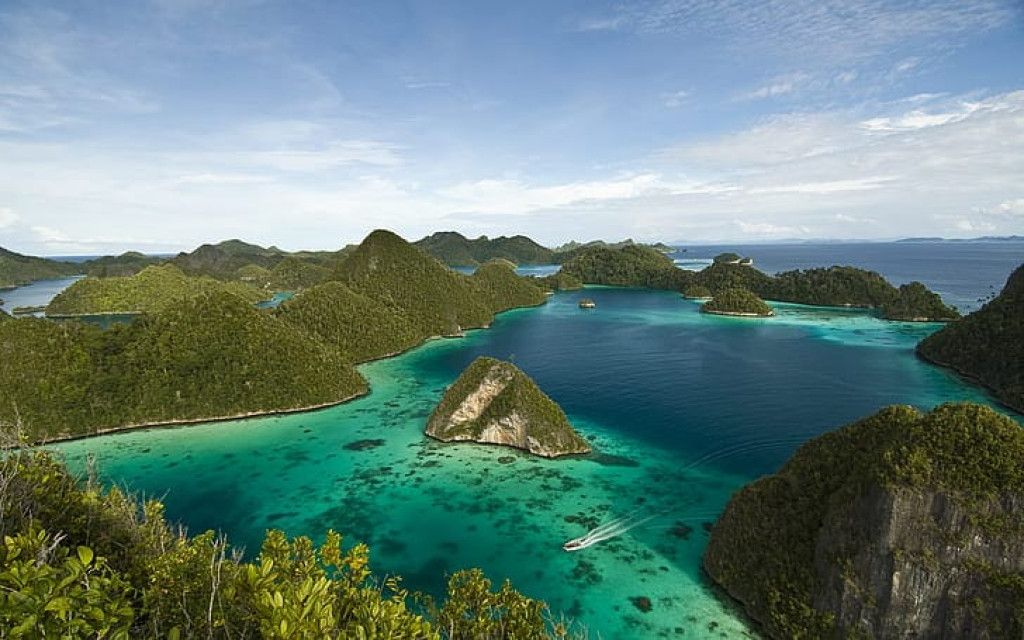Greenpeace Indonesia Menangkan Sengketa Informasi, Publik Kini Bisa Akses Dokumen Pencabutan Izin Tambang Raja Ampat