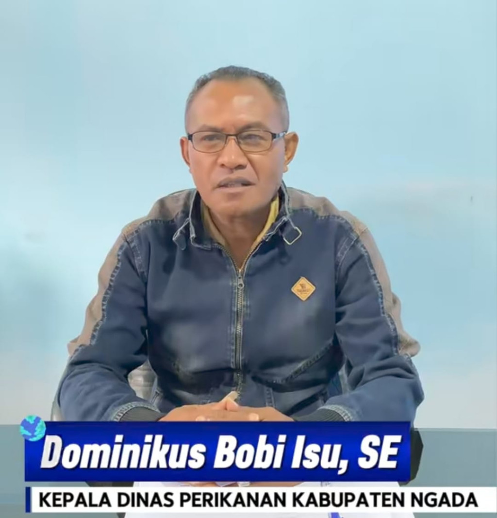 Harta Biru Ngada Mulai Dibangunkan! Laut Riung hingga Budidaya Air Tawar Disiapkan Jadi Mesin Baru Ekonomi Rakyat, Kadis Bobi Isu: Potensinya Luar Biasa