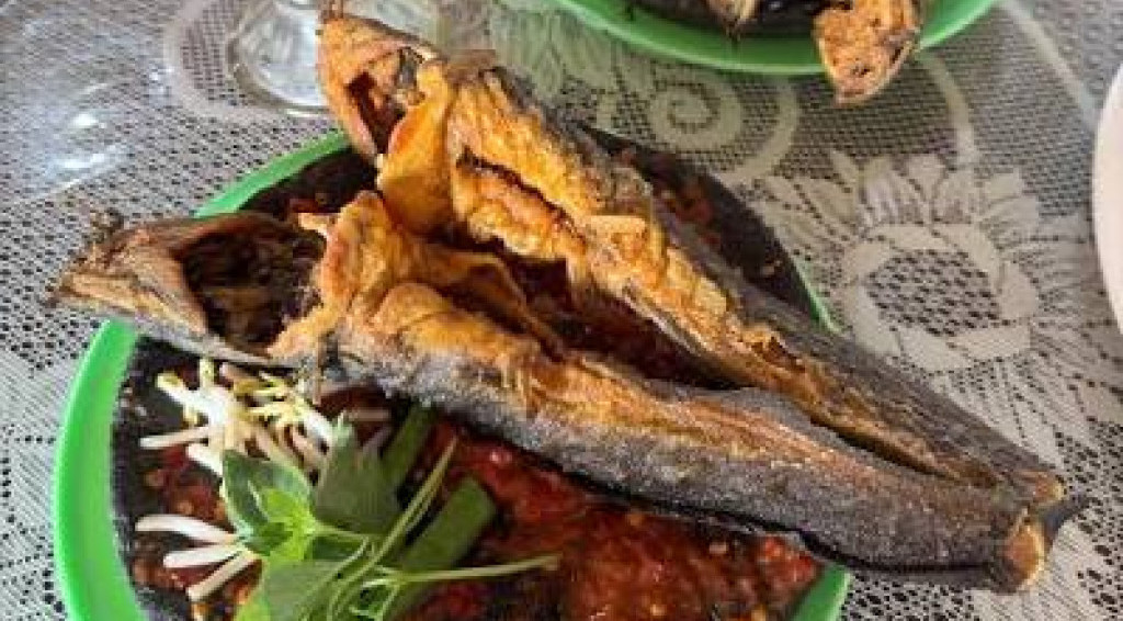 Ikan Lele Populer di RI, Ternyata Menyerap Racun dalam Air