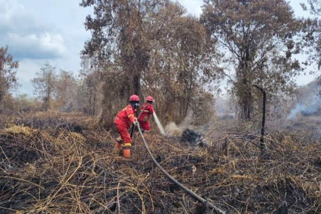 Kemenhut Kerahkan Manggala Agni Padamkan Kebakaran Lahan 20 Hektare di Aceh Selatan