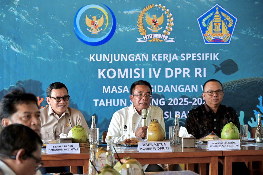 Komisi IV DPR Dorong KKP Prioritaskan Anggaran Konservasi Terumbu Karang