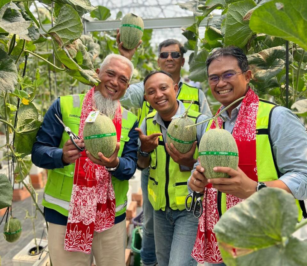PAMA dan PTBA Bangun Smart Greenhouse, Dorong Ekonomi Desa Lingga