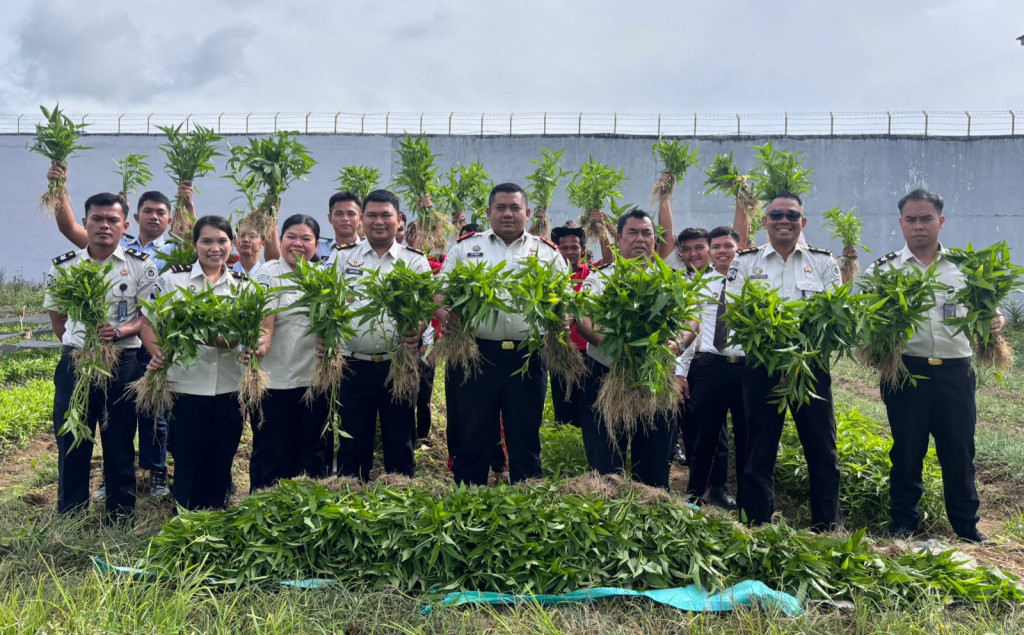 Panen Raya Kangkung, Rutan Sidikalang Siapkan Bekal Kemandirian untuk WBP