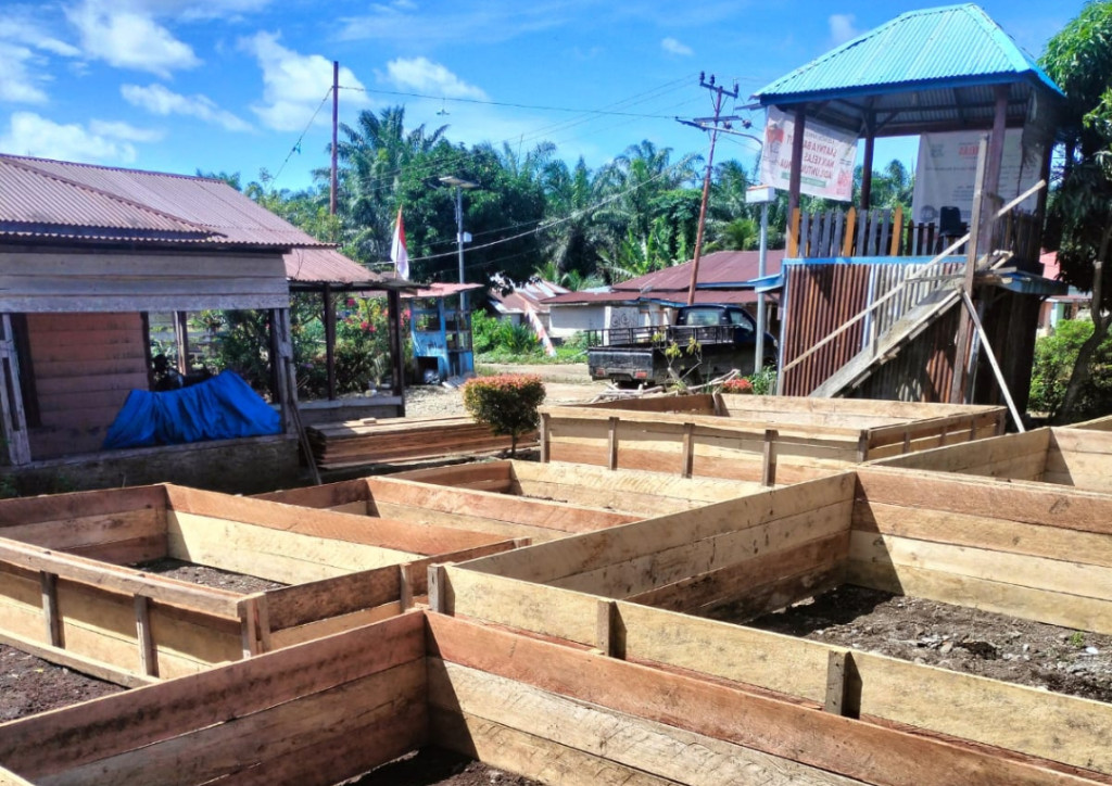 Pemdes Pulo Pakkat 2 Canangkan Ketapang Salah Satu Fokus Utama Pembangunan Desa