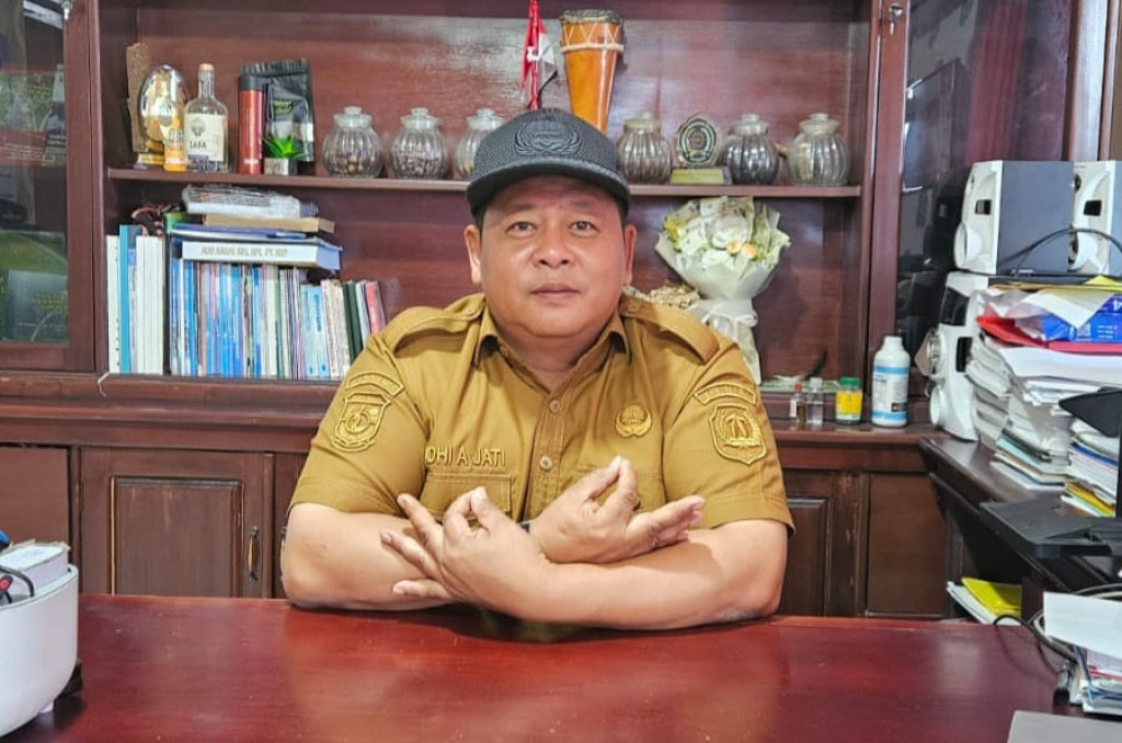 Pemkab Fakfak Lakukan Pendataan Peremajaan Kelapa 75 Hektar, Dukung Ekonomi Pesisir