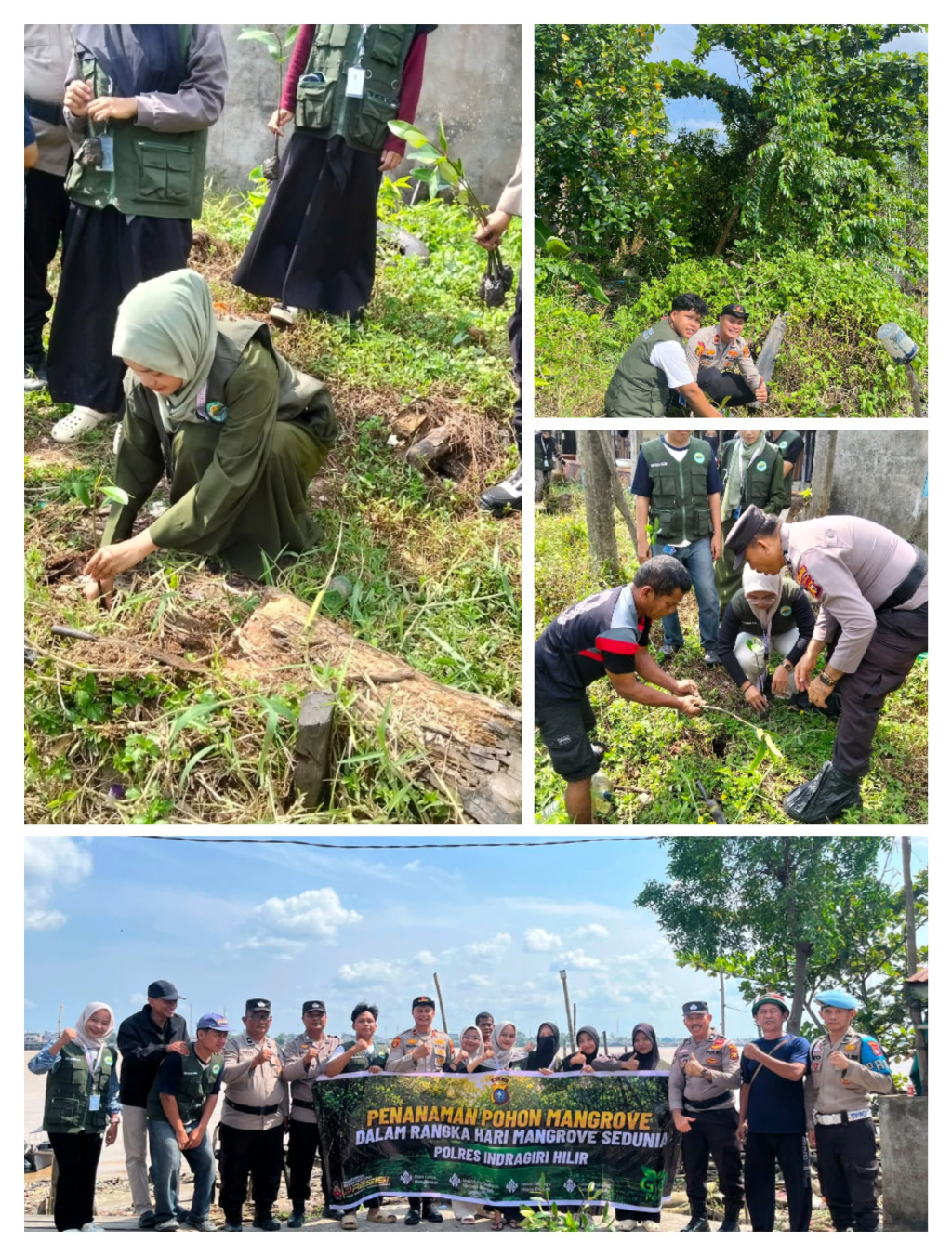 Peringati Hari Mangrove Sedunia 2026, Polsek Kawasan Pelabuhan Tembilahan Tanam 100 Bibit Mangrove