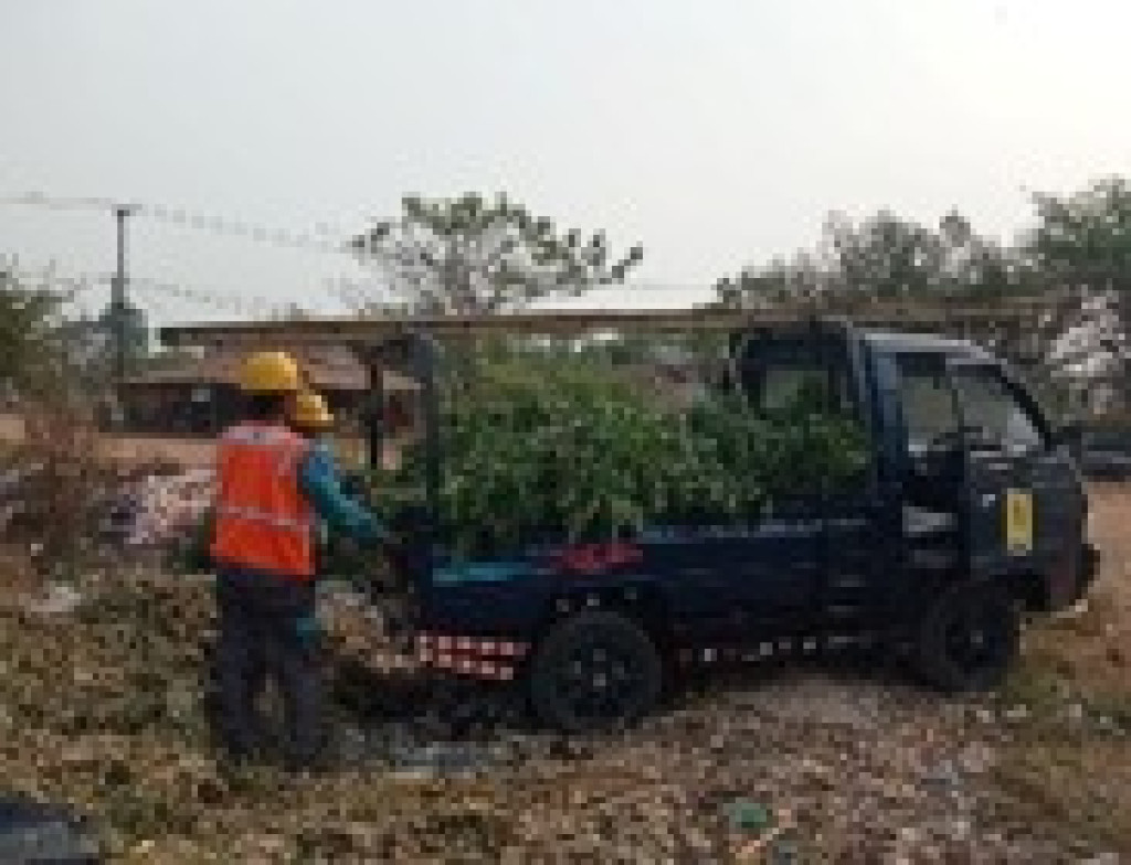 PLN Cikarang Intensifkan Pemeliharaan ROW Demi Pasokan Listrik Andal di Kabupaten Bekasi