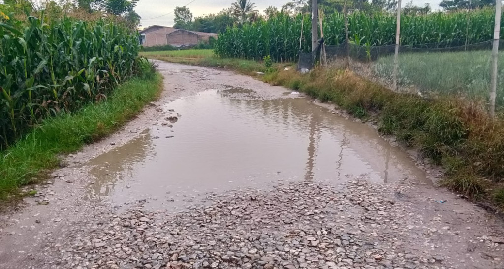 Warga Dusun III Sitinjo Keluhkan Jalan Rusak, Ini Respon Sekda Dairi