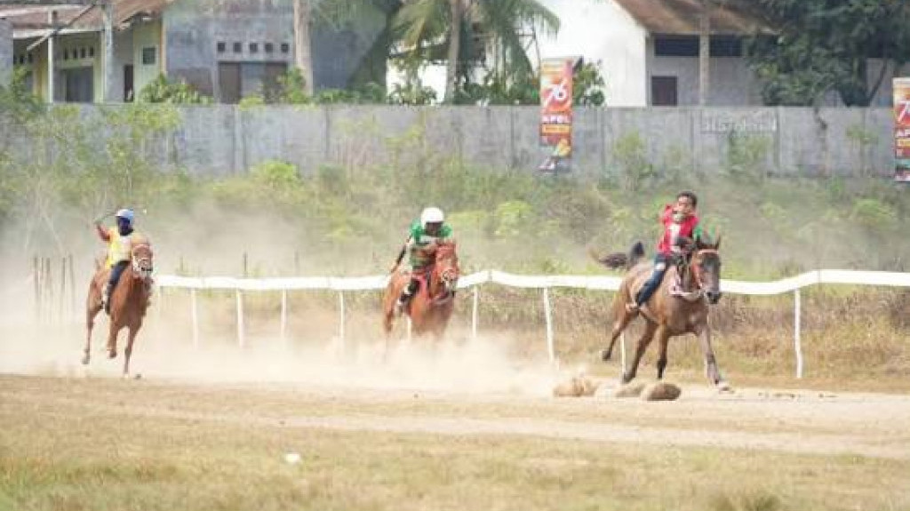 Warisan Budaya Pacu Kuda Sumba Siap Angkat NTT ke Panggung Sport Tourism Internasional