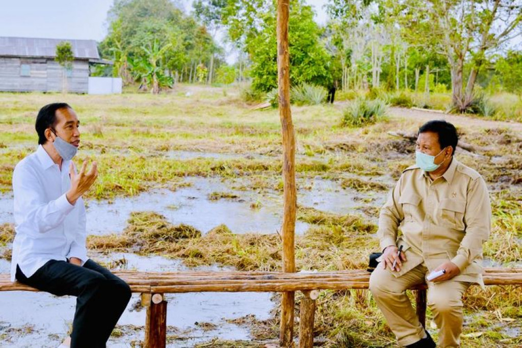 Alasan Jokowi Tunjuk Prabowo Urusi Proyek Food Estate