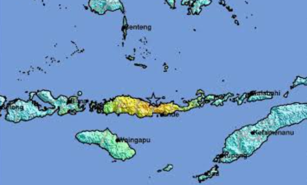 47 Orang Tewas Usai Gempa Guncang NTT, Pemerintah Kerahkan Bantuan Besar-besaran