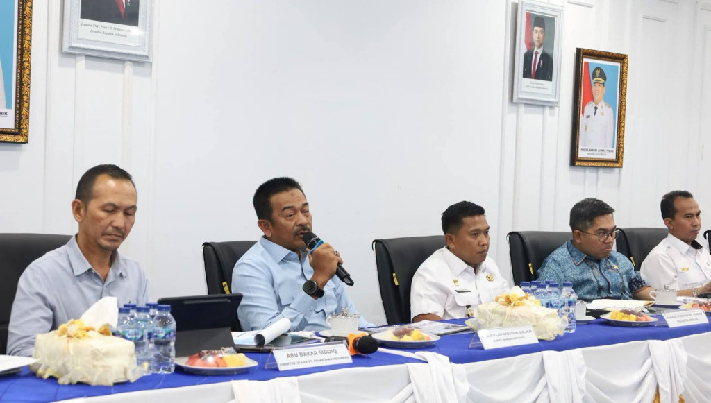 Di Hadapan Anggota DPR RI, Bupati Madina Sampaikan Pentingnya Jalur Udara dalam Percepatan Pembangunan