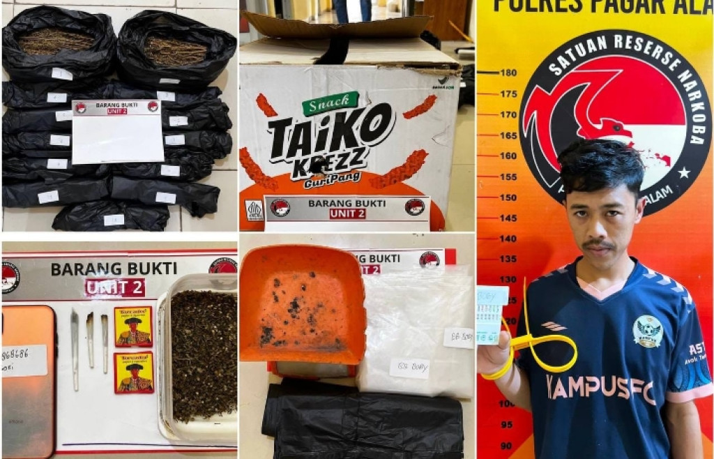Dini Hari Disergap Polisi, Pengedar 2,3 Kilogram  Ganja Tak Berkutik di Kamar Kos Dempo Reokan