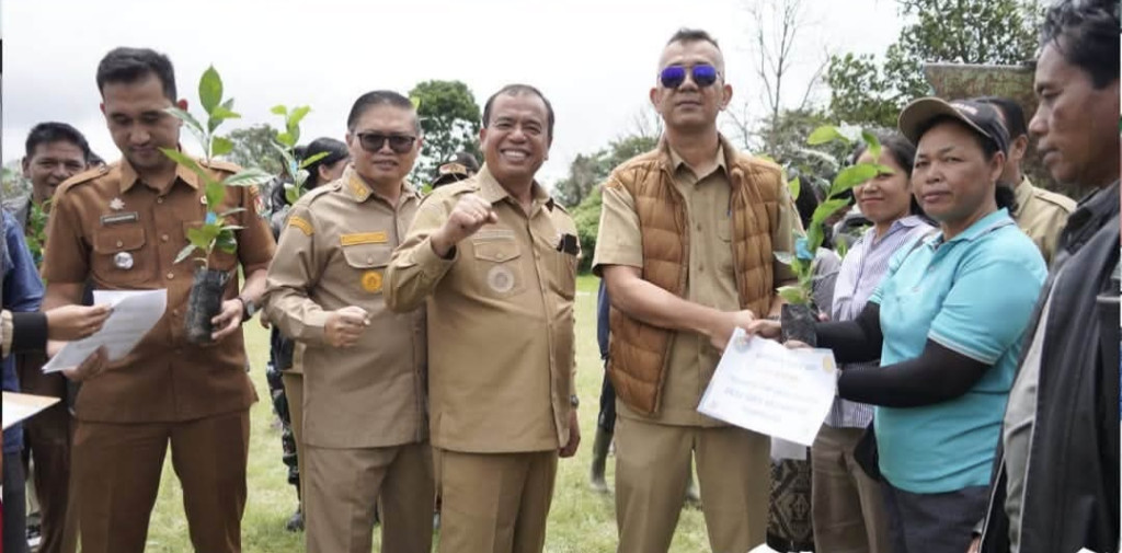 Dorong Komoditas Unggulan,Pemkab Karo Serahkan 1,2 Juta Benih Kopi Arabika Kepada 259 Kelompok Tani