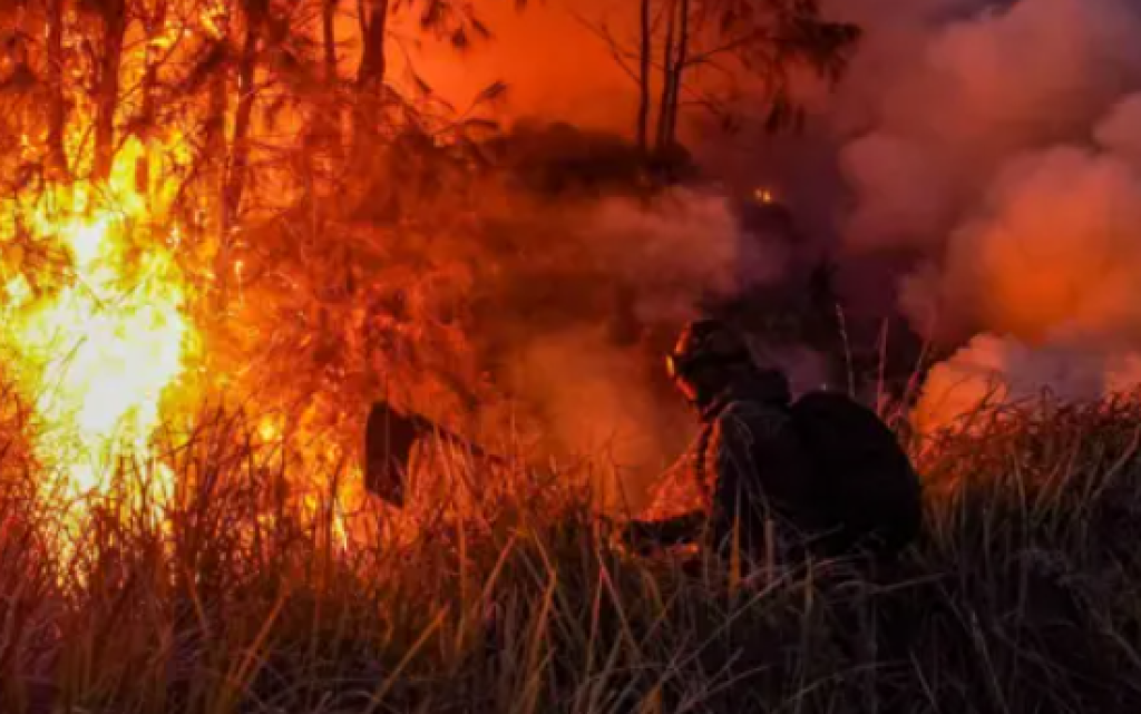 Hotspot Sumatera Melonjak Jadi 1.104 Titik, Ratusan Hektare Lahan Sudah Terbakar