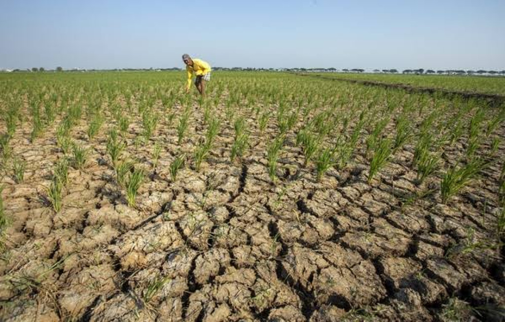 Juli 2026 Jadi Bulan Terpanas di Indonesia Sejak 1991, BMKG Ungkap Efek El Nino