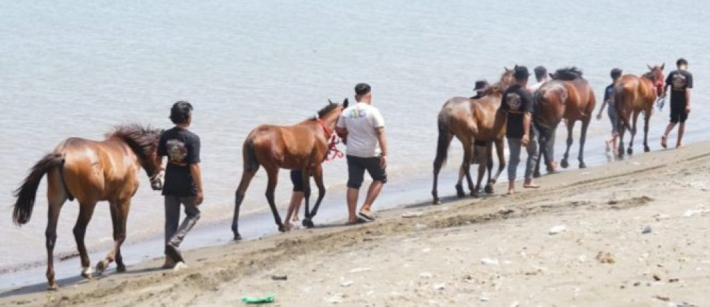 Pemkab Tapanuli Utara Hadirkan Beragam Kegiatan, Kuda Pacu, Motor Croos dari Berbagai Provinsi di Indonesia Untuk Rakyat, Rayakan HUT ke-81 RI 2026