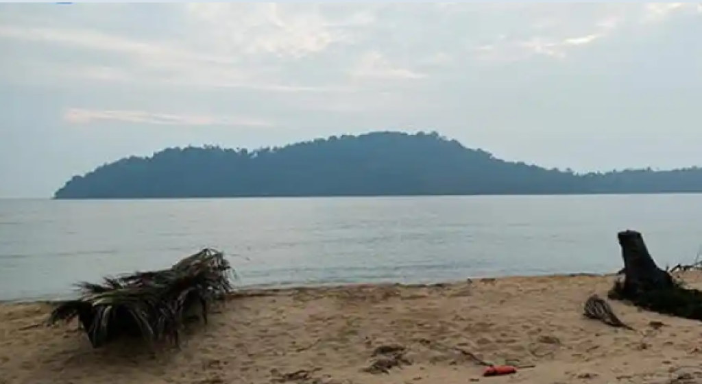 Pulau Tak Berpenghuni di Kalimantan Dibidik Jadi Lokasi PLTN Pertama Indonesia