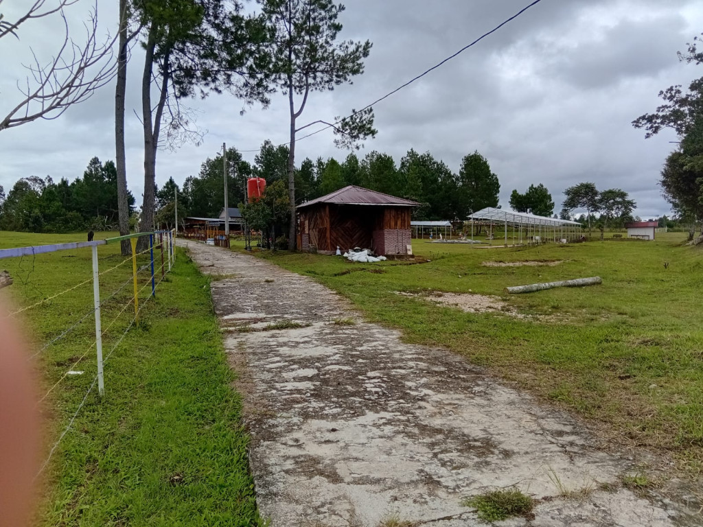 Rabat Beton Menuju Cafe Harimonting di Desa Paniaran Siborongborong Diduga Dibangun Dari Dana Pemerintah