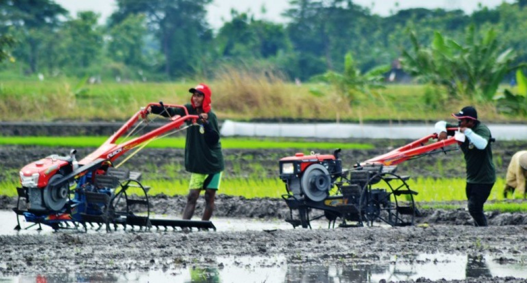 Dongkrak Produktivitas Pertanian, Bangka Belitung Optimalkan Alsintan