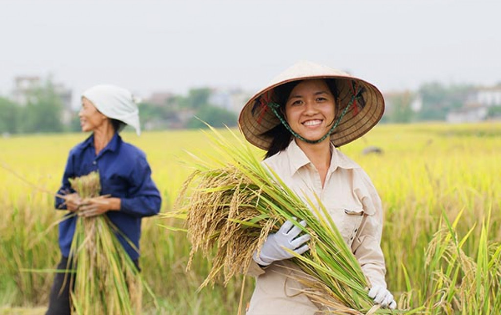 Hari Tani, Pupuk Indonesia Perkuat Peran Pertanian dalam Perekonomian Nasional
