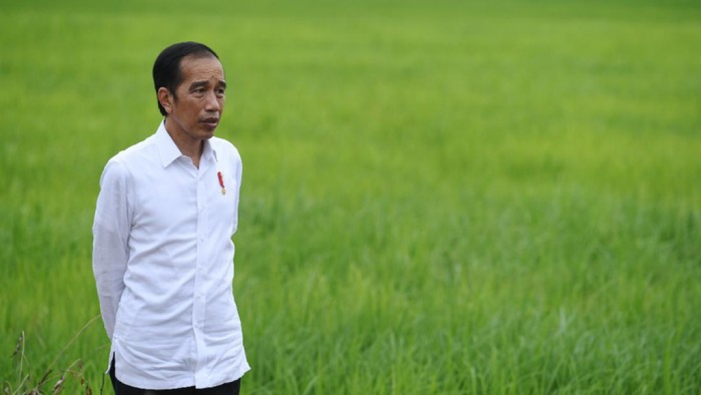 Ucapkan Selamat Hari Tani Nasional, Jokowi: Pemerintah Dukung Sektor Pertanian Sepenuhnya
