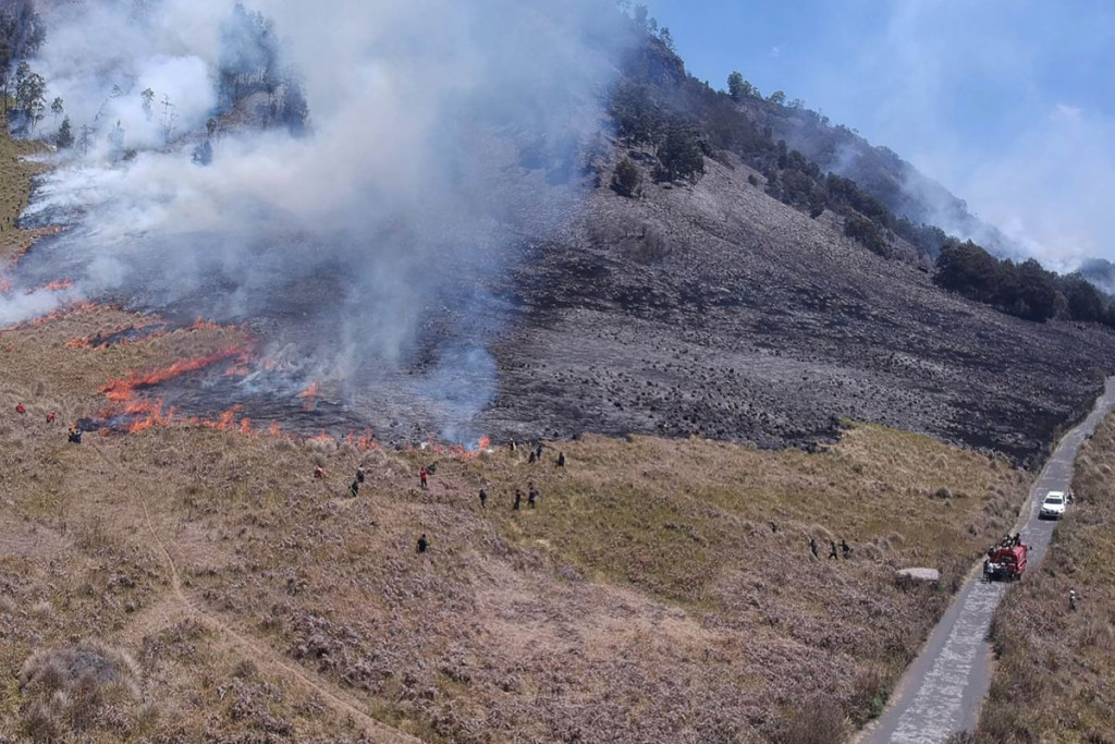 Wisata Kawasan Gunung Bromo Tutup Akibat Kebakaran Bukit Telletubies