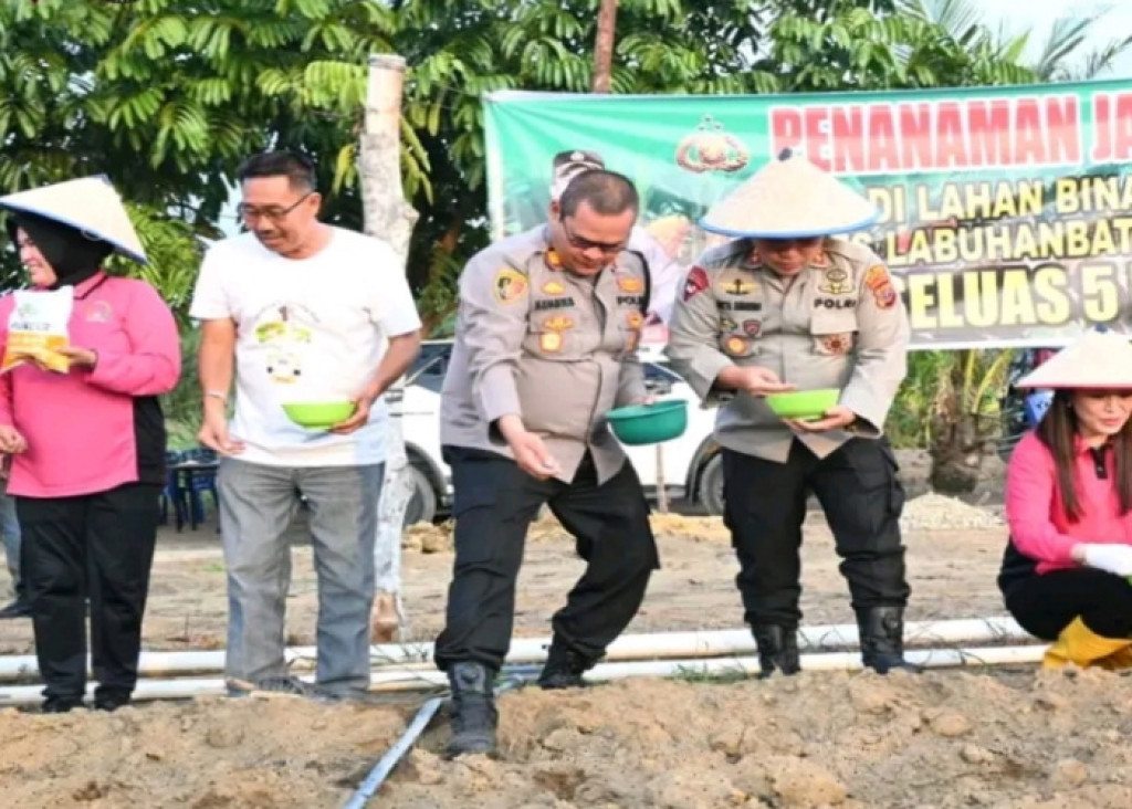 Sinergi Polri dan Pemerintah Daerah, 5 Hektar Lahan di Labusel Ditanami Jagung