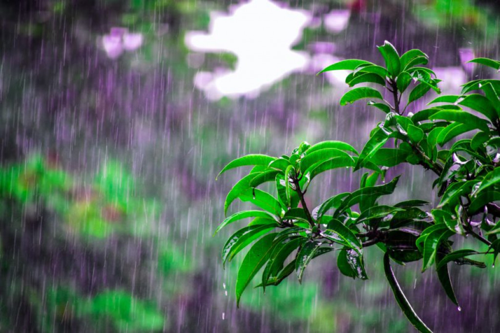 Cuaca Hari Ini, BMKG: 32 Provinsi Berpotensi Hujan Lebat Disertai Petir-Angin Kencang