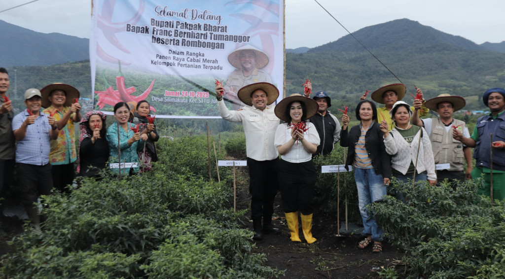 Bupati Pakpak Bharat Panen Raya Cabai Merah di KPT Silima Kuta