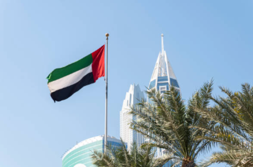 Genosida di Darfur: Panel PBB dan Amnesty Buka Dugaan Bantuan UEA ke RSF