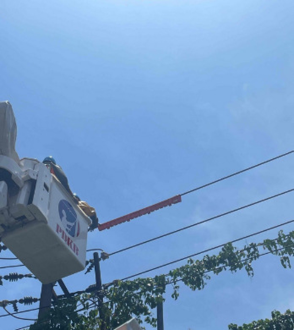Menjelang Hari Listrik Nasional ke-80, PLN UP3 Cimahi Laksanakan Pemeliharaan Jaringan Demi Keandalan Pasokan Listrik di Kabupaten Bandung Barat