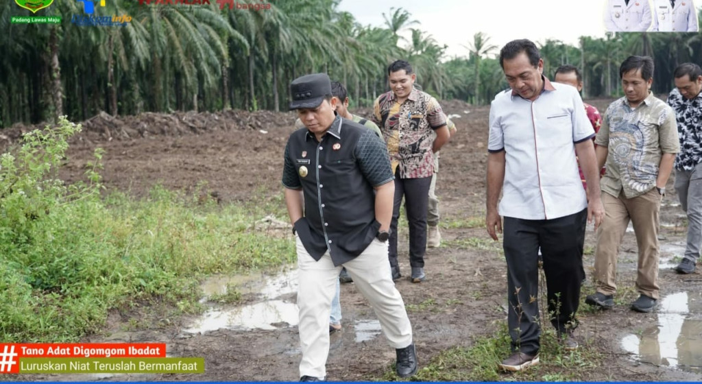 Pemkab Palas Cegah Inflasi dengan Budidaya Cabe, Pengembangan Semangka dan Melon di Dataran Tinggi Sosopan