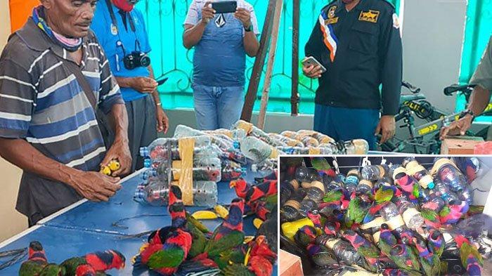 KLHK Berang Lihat Burung Nuri Dimasukkan dalam Botol