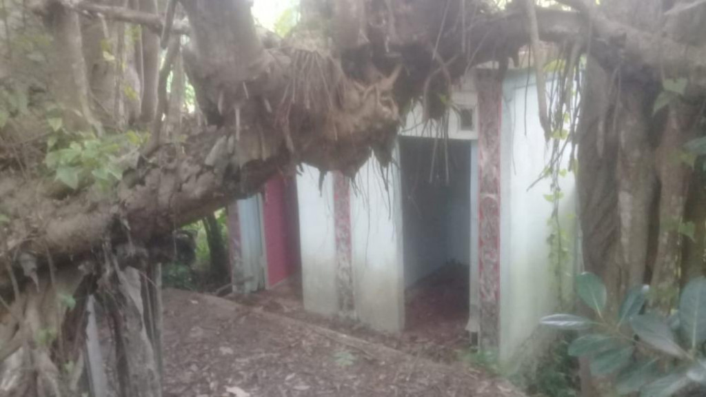 "Kuburan Diatas Pohon" Menjadi Destinasi Wisata di Samosir