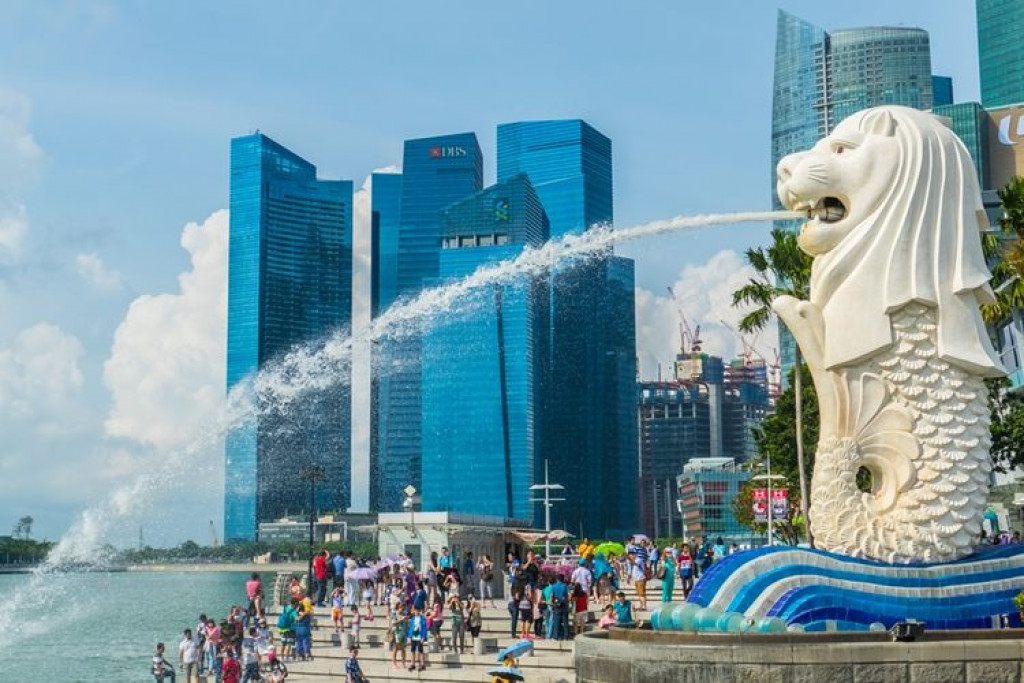 Perusahaan RI Ini Siap Atasi Krisis Listrik Singapura