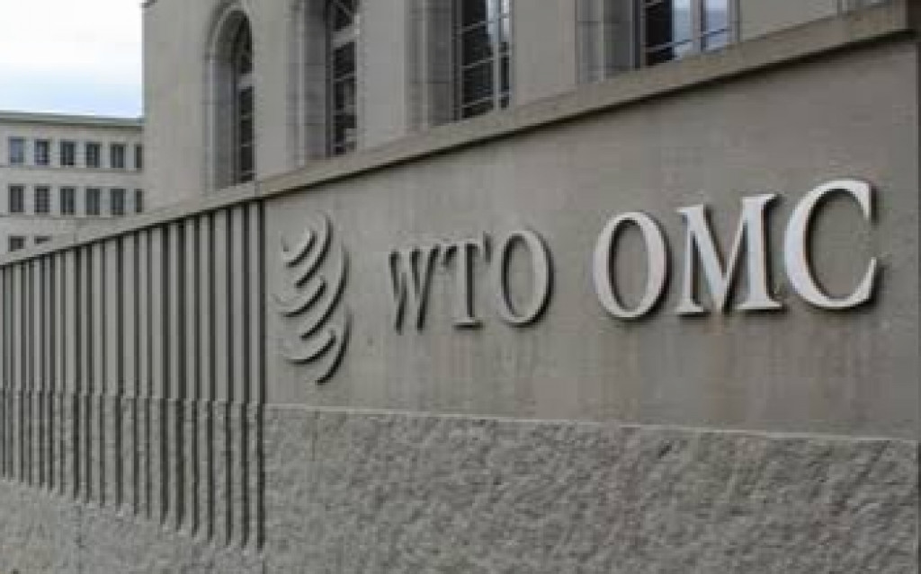 Indonesia Kembali Ajukan Panel Evaluasi Sengketa Bea Masuk Biodiesel Uni Eropa di WTO