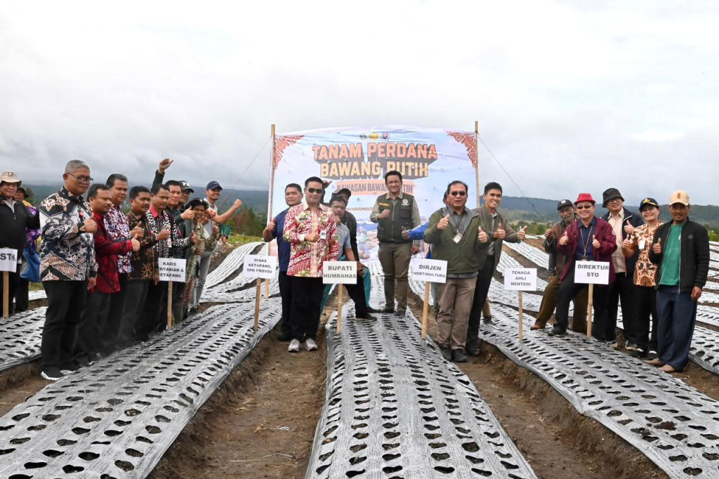 Bupati Humbahas Bersama Kementan Tanam Bawang Putih di Food Estate Pollung
