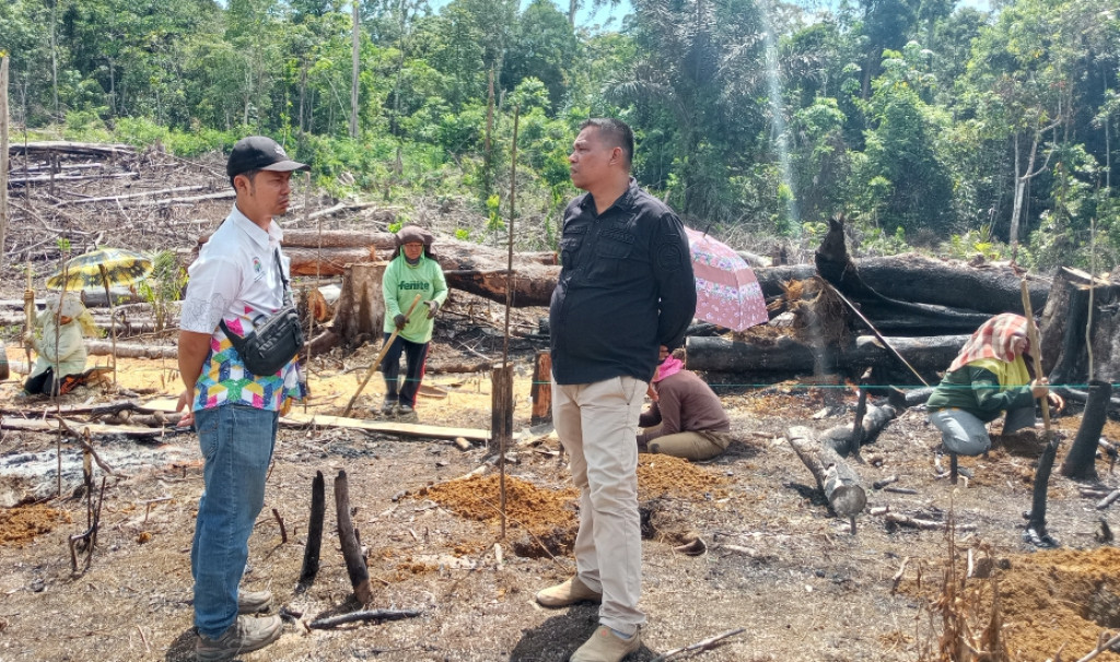 Cek Lahan Ketapang Desa Simanosor, Camat Sibabangun: Kelayakan dan Luas Lahan 2 Konsep Penting Dunia Pertanian