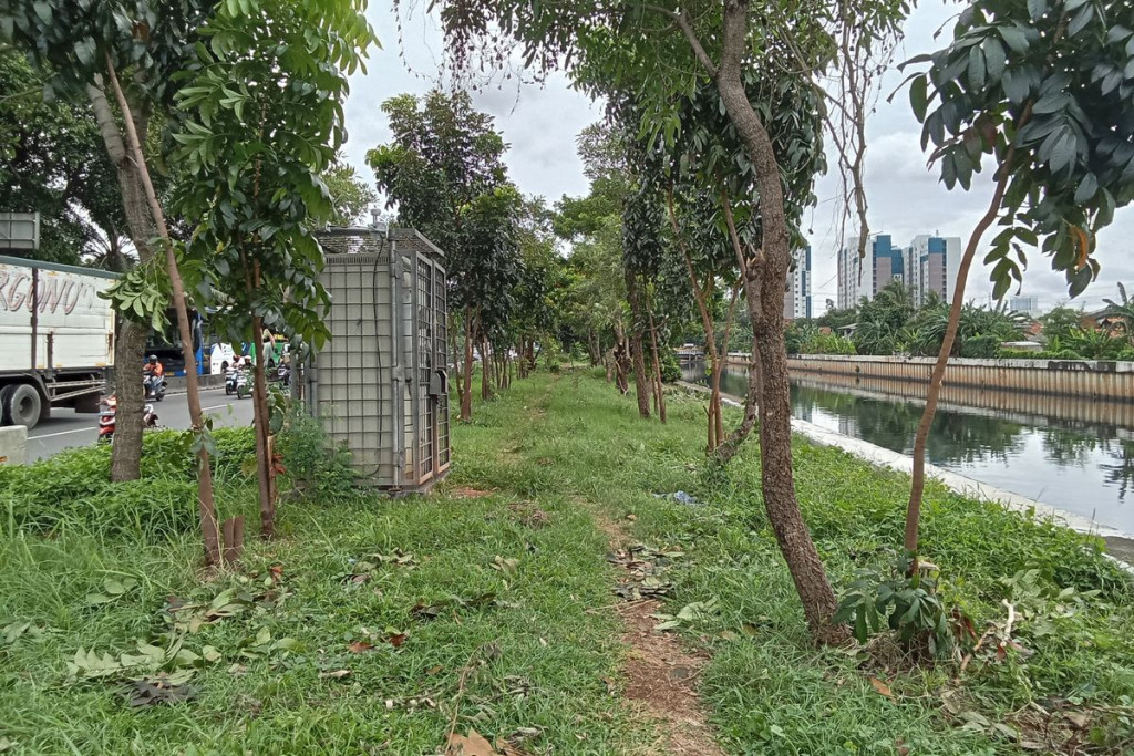 Dari Patroli hingga Pengakuan Pedagang: Praktik Asusila Dibongkar di Taman Daan Mogot